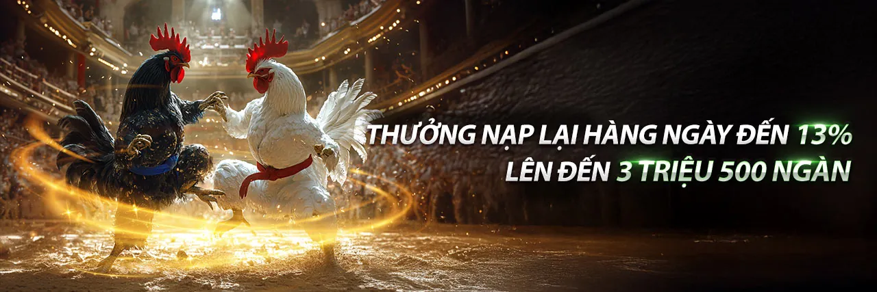 Banner ưu đãi hoàn trả hàng ngày mcw7733